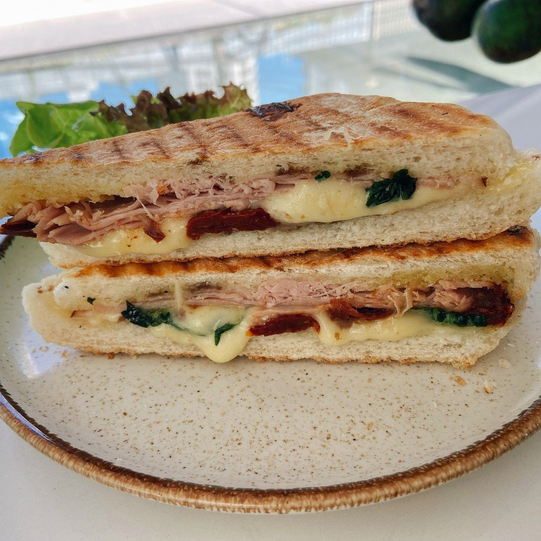 Panini - Ham-Sun Dried Tomato-Mozzarella Panini 1