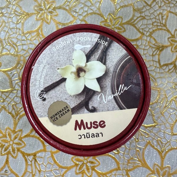 Ice Cream - MusÄ Vanilla 1